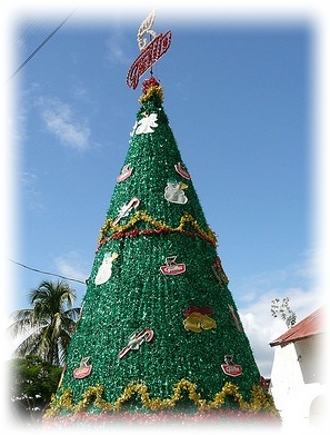 Christmas tree, San Antonio Palopo,